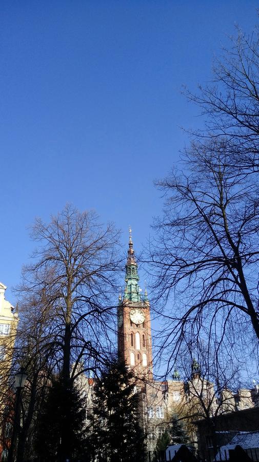 Kamienica Zacisze Daire Gdansk Dış mekan fotoğraf